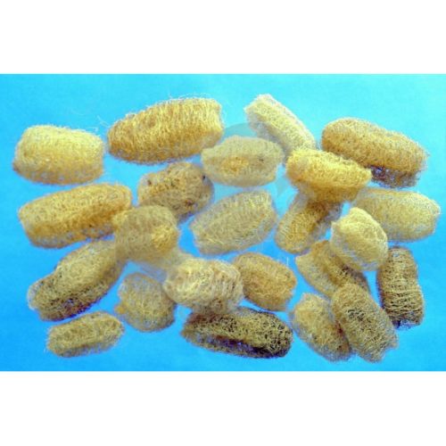 Luffa 8-10cm natúr