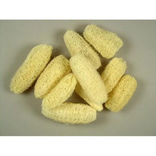 Luffa 8-10cm fehérített