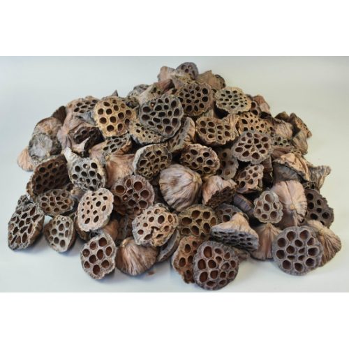 Lotus vegyes 1kg natúr