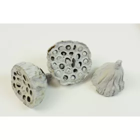 Lotus kicsi 4-6cm falfestékes vízkék