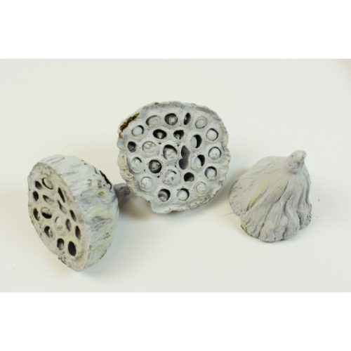 Lotus kicsi 4-6cm falfestékes vízkék