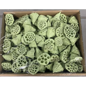 Lotus kicsi 4-6cm falfestékes vil.zöld Z375. árcsop.