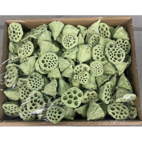 Lotus kicsi 4-6cm falfestékes vil.zöld Z375. árcsop.