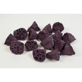 Lotus kicsi 4-6cm falfestékes szeder
