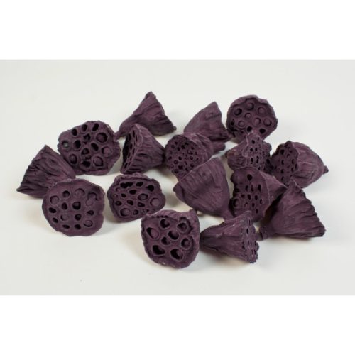 Lotus kicsi 4-6cm falfestékes szeder