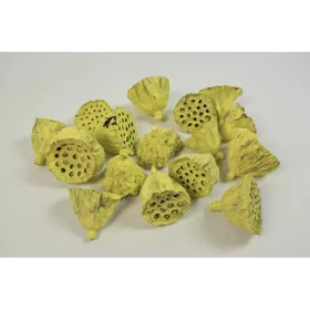 Lotus kicsi 4-6cm falfestékes sárga