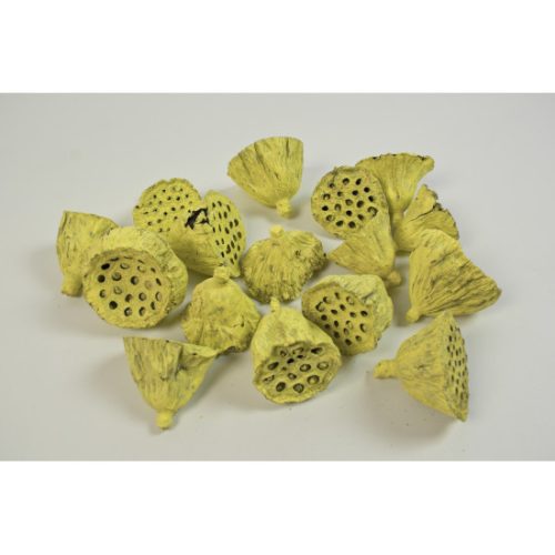 Lotus kicsi 4-6cm falfestékes sárga
