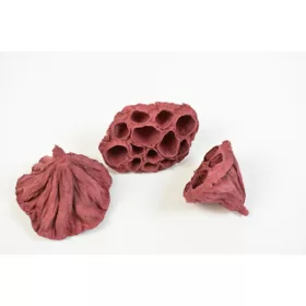 Lotus kicsi 4-6cm falfestékes bordó