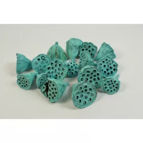 Lotus kicsi 4-6cm falfestékes aqua