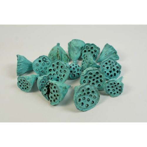 Lotus kicsi 4-6cm falfestékes aqua