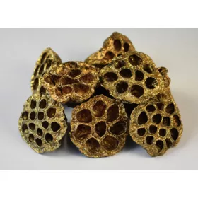 Lotus kicsi 4-6cm arany&glitter