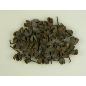 Liliom termés mini natúr