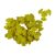 Luffa propeller yellow