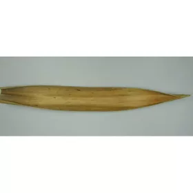 Kókuszcsónak 60-70cm natúr