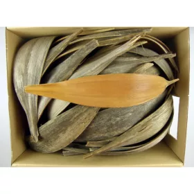Kókuszcsónak 15-25cm natúr Z059. árcsop.