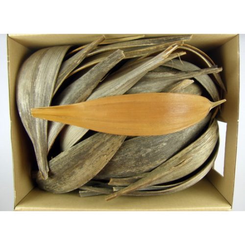 Kókuszcsónak 15-25cm natúr Z059. árcsop.