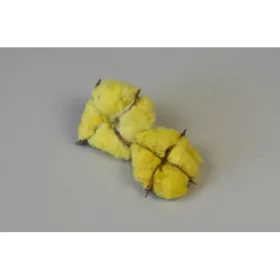 Gyapot termés egész spec. sárga