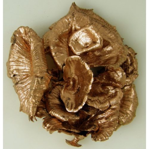 Gomba vegyes bronz&glitter
