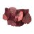 Conk burgundy