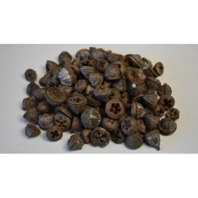 Eukalyptus gomb natúr