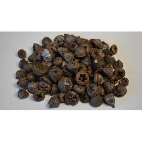 Eukalyptus gomb natúr