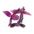 Wildlilie sale purple