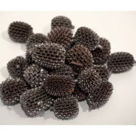 Casuarina XXL pezsgő