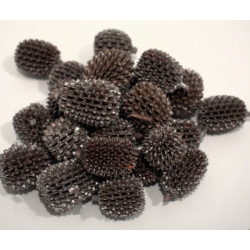 Casuarina XXL pezsgő