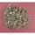 Casuarina havas