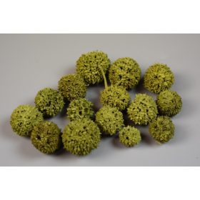 Ámbrafa termés kínai falfestékes olíva