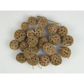 Ámbrafa termés kínai falfestékes narancs