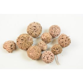 Ámbrafa termés kínai falfestékes barack