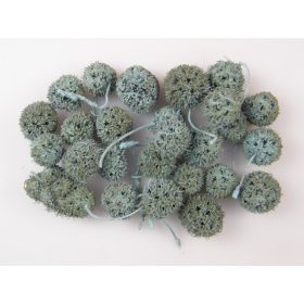 Ámbrafa termés kínai falfestékes aqua