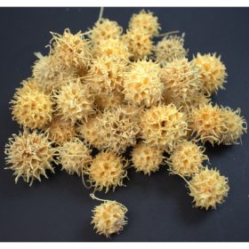 Ámbrafa termés fehérített