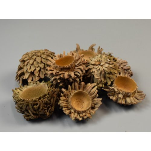 Acorn hálós 1kg