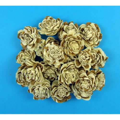 Ming boglárka fej 4cm cirmos natúr