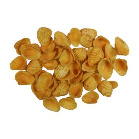 Mussels 0.5kg Chippi-Shivmussels 3-5cm small orange