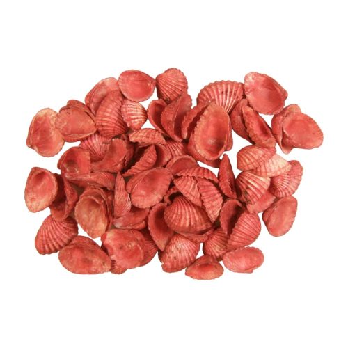 Shells 0.5kg Chippi-Shívskáló 3-5cm small red