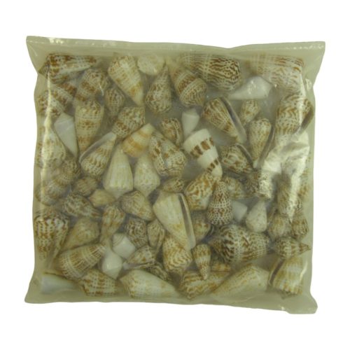 Shells 0.5 kg Vaalaipoo-Coned snail natural