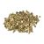 Shells 1kg Pambookan-Navel snail mixed natural