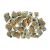 Shells 1kg Penchiman-Tüskés helmet snail natural