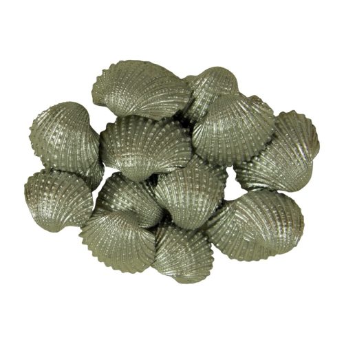 Shell Chippi-Shívskáló 2-3cm mini silver