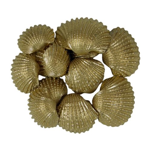 Shell Chippi-Shívskáló 3-5cm small gold