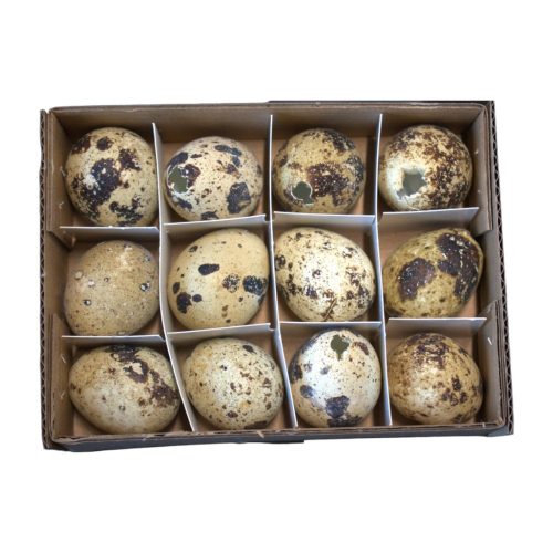 Natural quail eggs 12 pcs/box