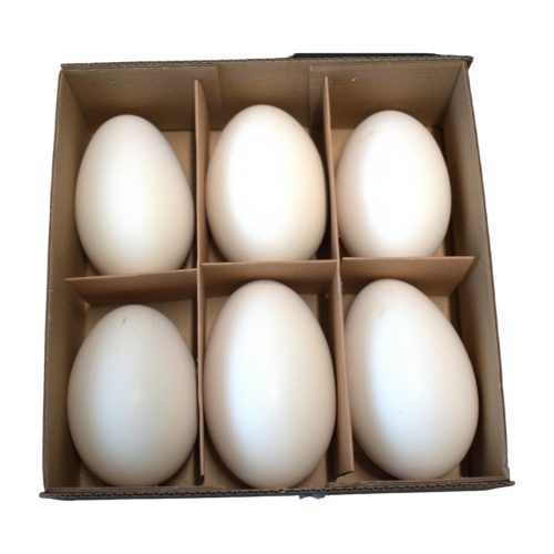 Goose eggs 6pcs/box