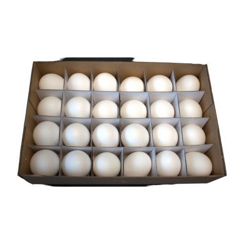 Eggs hen natural white 24pcs/box