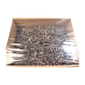 Éger indiai zúzmarás Z383. árcsop.