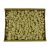 Garlic fruit bleached Z041. price tag
