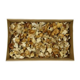 Gomba vegyes krém Z042. árcsop.