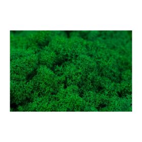 Izlandi zuzmó köz. zöld Z046. árcsop.